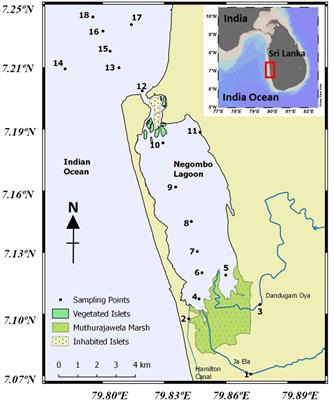 Eutrophication and Hypoxia in Tropical Negombo Lagoon, Sri Lanka